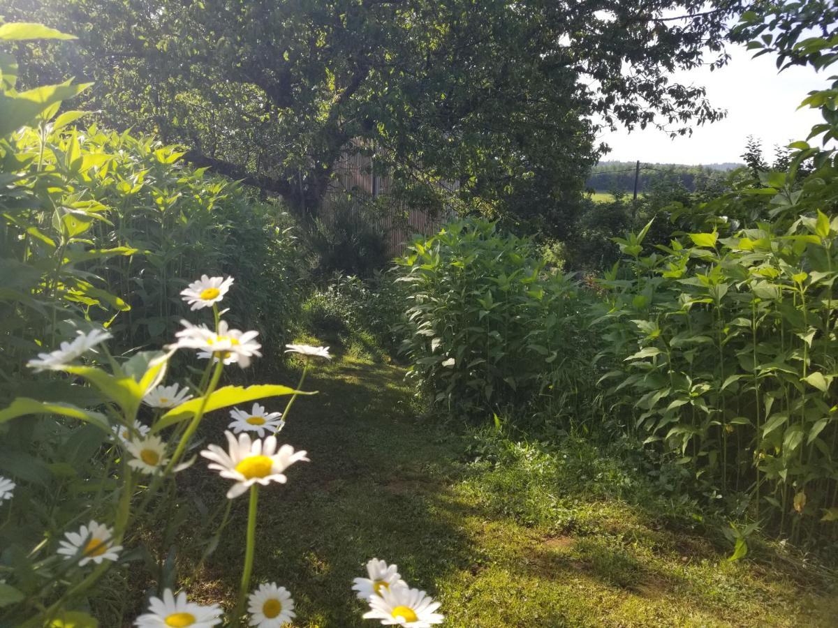 Le Petit Paradis, Mini Maison,Nature,Confort,Calme Saint-Julien-le-Petit Exterior foto