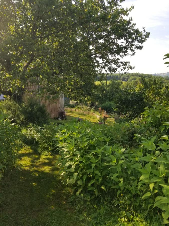 Le Petit Paradis, Mini Maison,Nature,Confort,Calme Saint-Julien-le-Petit Exterior foto