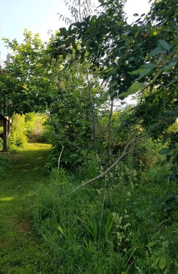 Le Petit Paradis, Mini Maison,Nature,Confort,Calme Saint-Julien-le-Petit Exterior foto