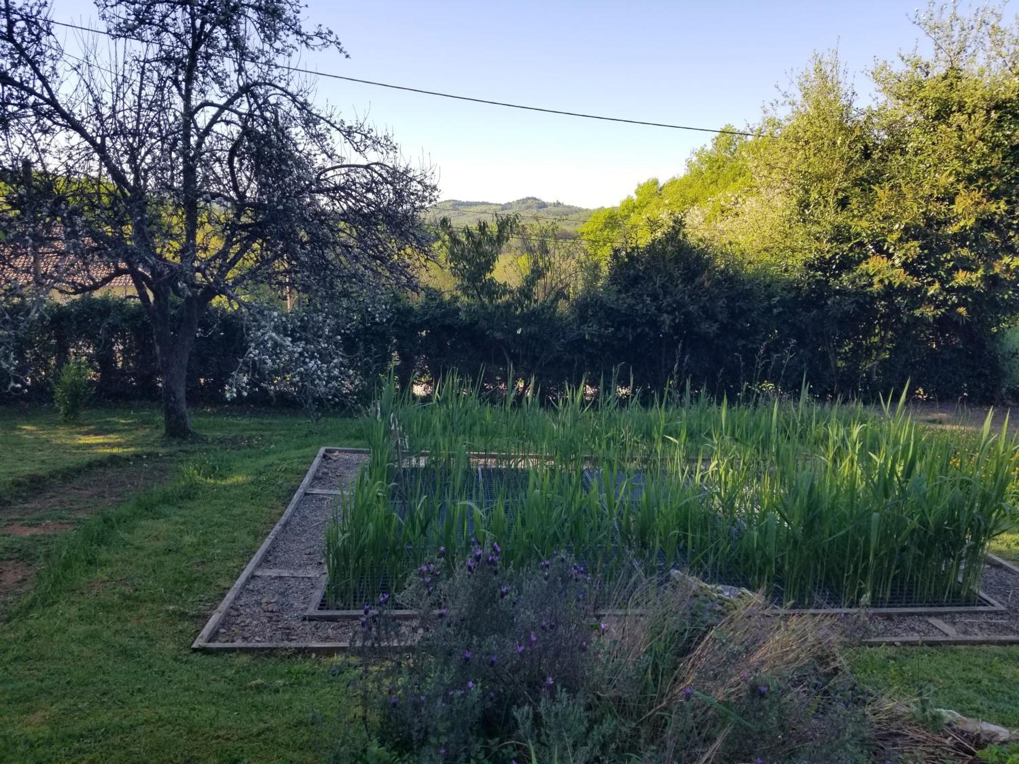 Le Petit Paradis, Mini Maison,Nature,Confort,Calme Saint-Julien-le-Petit Exterior foto